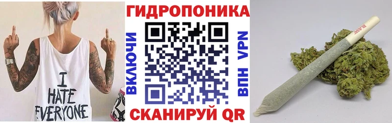 Бошки Шишки гибрид Выборг